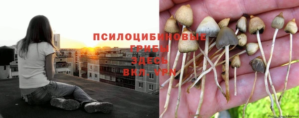 альфа пвп Киреевск