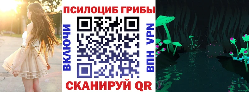 Псилоцибиновые грибы GOLDEN TEACHER  Ноябрьск 