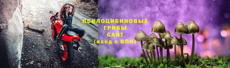 Галлюциногенные грибы Magic Shrooms  где можно купить наркотик  MEGA вход  дарк нет какой сайт  Ноябрьск 