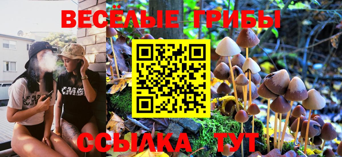 Псилоцибиновые грибы GOLDEN TEACHER  Галлюциногенные грибы ЛСД  Вход с VPN  Ноябрьск 