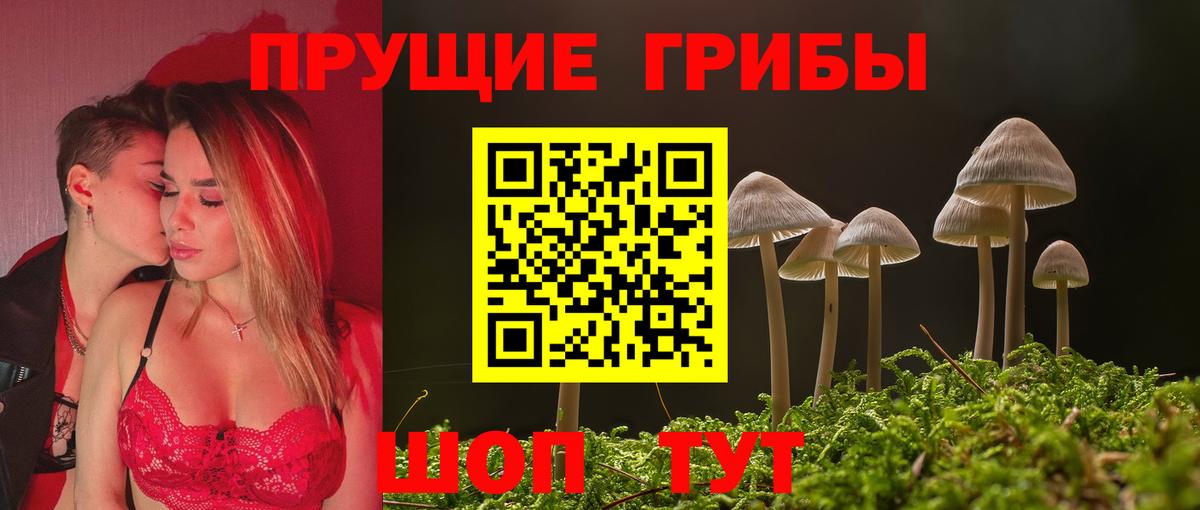 Псилоцибиновые грибы Cubensis Ноябрьск